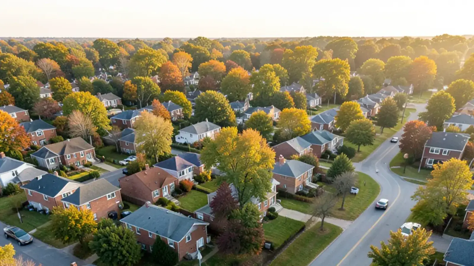 Aerial view of a south Macomb County street grid of postwar houses and tree-lined blocks